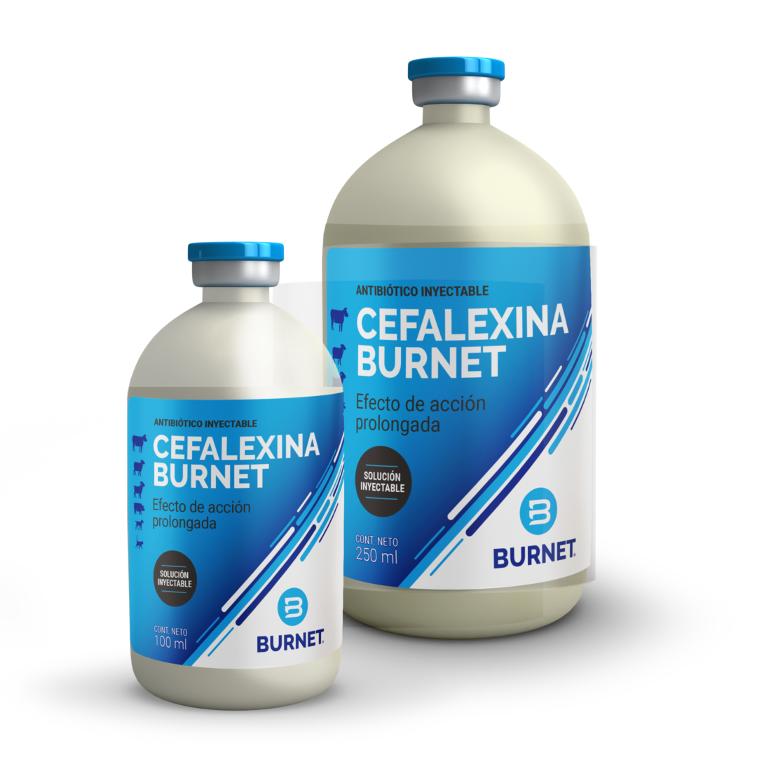 CEFALEXINA BURNET